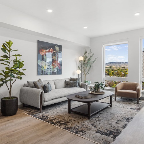 natural lighting fills living room with city views